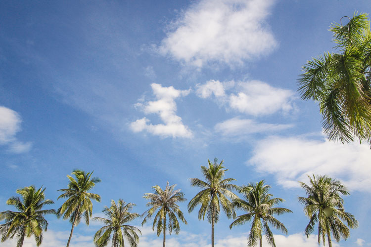 Weather in Chiang Mai